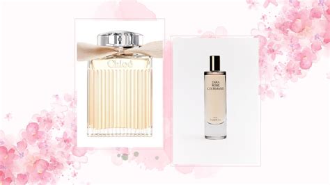 chloe signature parfum dupe|zara rose gourmand dupe for.